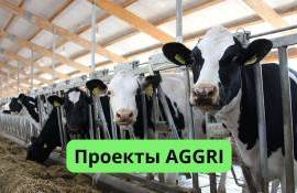 Девять агропроизводителей претендуют на гранты AGGRI - agroexpert.md