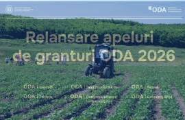 ODA возобновит приём заявок на гранты после утверждения бюджета - agroexpert.md