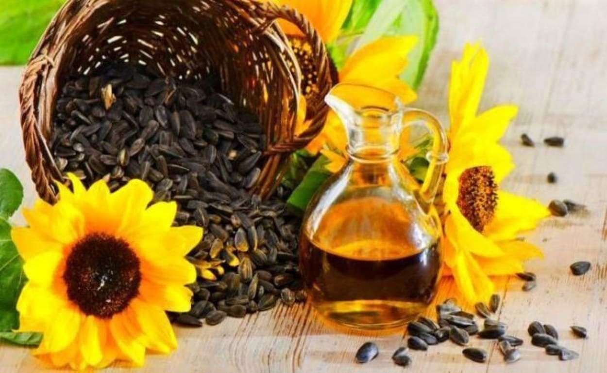 Турция нарастила импорт подсолнечника, включая поставки из Молдовы - agroexpert.md