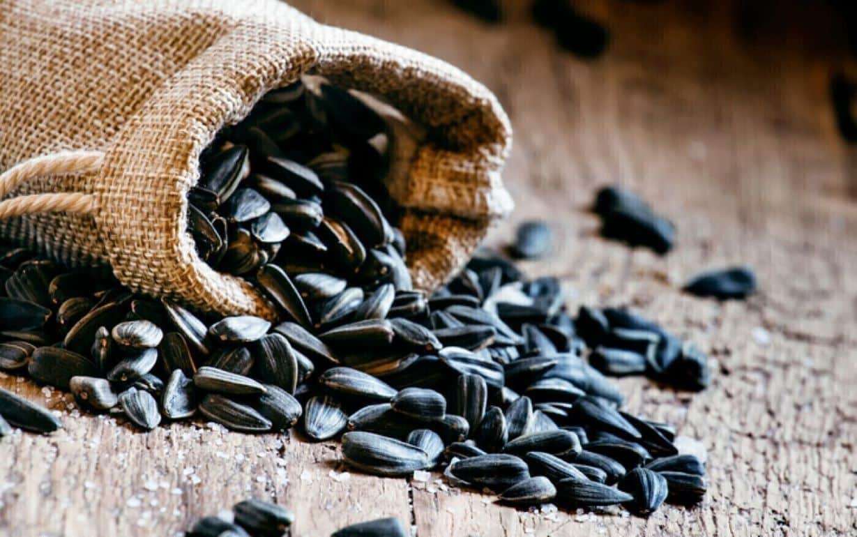 Экспорт украинского подсолнечника на дне: минимум за 20 лет - agroexpert.md