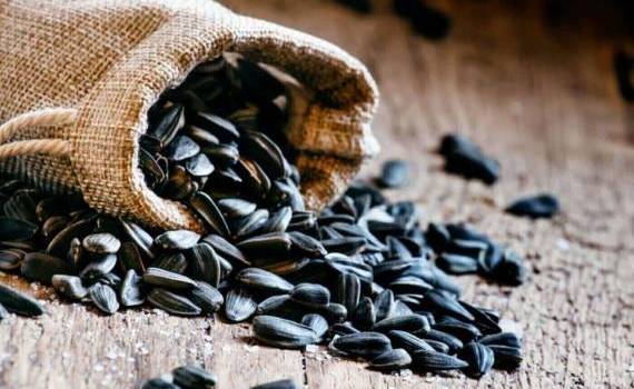 Экспорт украинского подсолнечника на дне: минимум за 20 лет - agroexpert.md