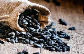 Экспорт украинского подсолнечника на дне: минимум за 20 лет - agroexpert.md