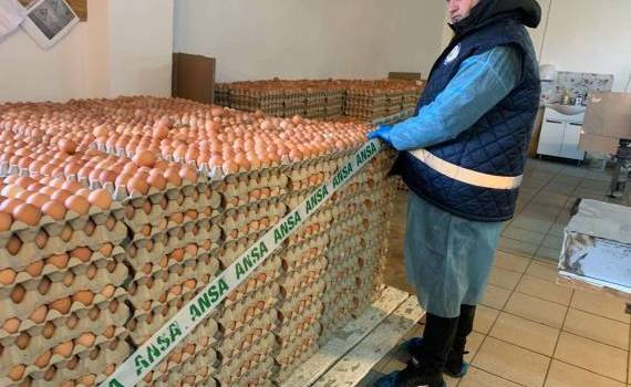 ouă și păsări nimicite de ANSA - AGROEXPERT.MD