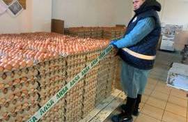 ouă și păsări nimicite de ANSA - AGROEXPERT.MD