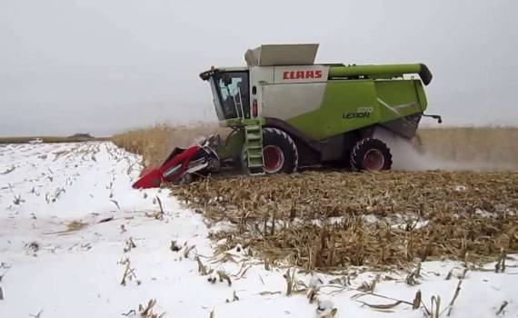 В Украине продолжается уборка кукурузы - agroexpert.md