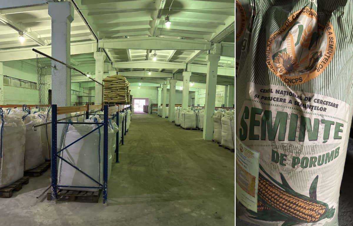 Национальный центр семян в Бельцах завершает модернизацию - agroexpert.md