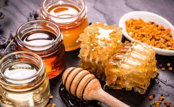 Producția apicolă înregistrează pierderi - agroexpert.md