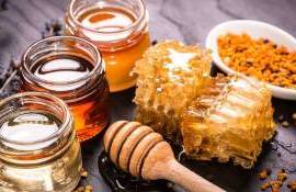 Producția apicolă înregistrează pierderi - agroexpert.md