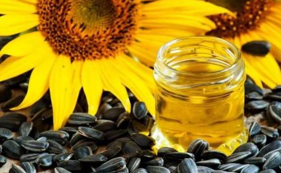 За неделю цена подсолнечника в Украине снизилась на 10 USD - agroexpert.md