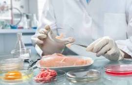 test la ouă și carne - AGROEXPERT.MD 