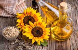 Cum a fost valorificată producția de floarea-soarelui în 2025