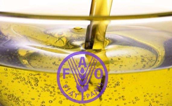 Индекс ФАО на растительные масла: Очередное снижение, минимальный уровень - agroexpert.md