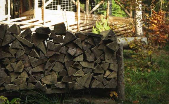 despicatorul potrivit pentru uz casnic și agricol - agroexpert.md