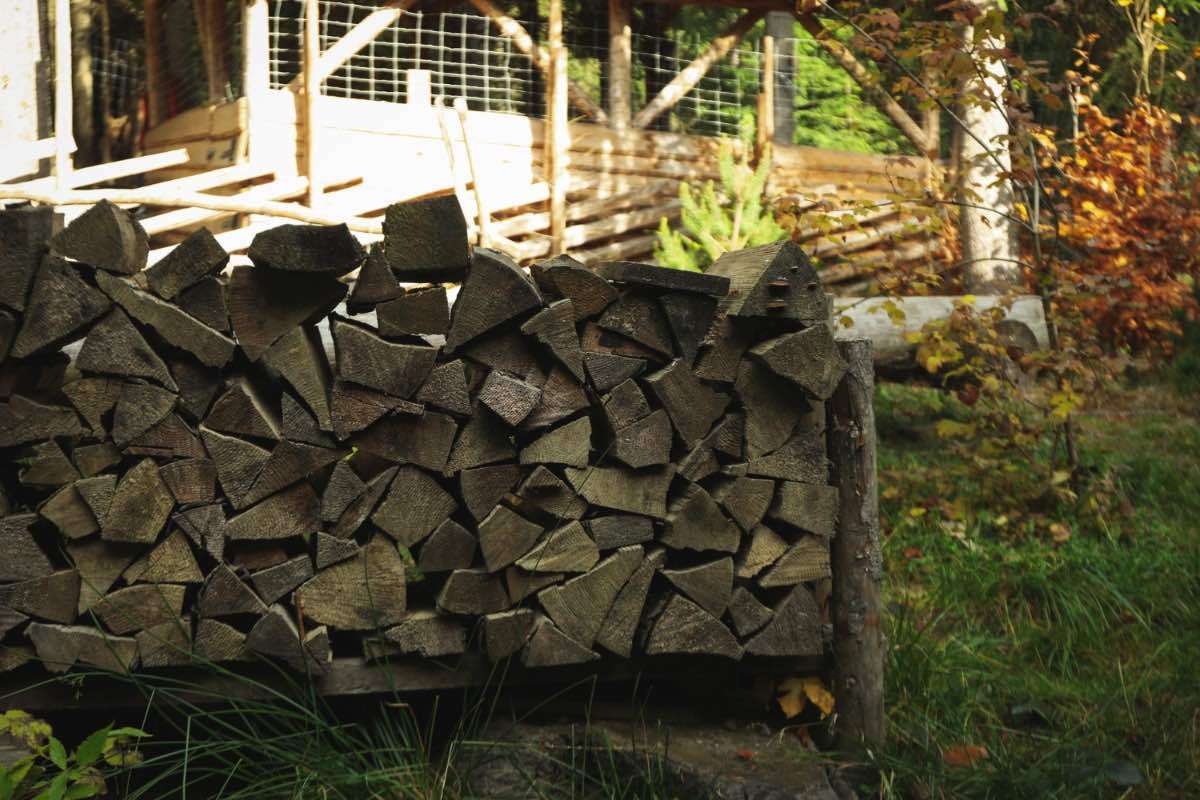 despicatorul potrivit pentru uz casnic și agricol - agroexpert.md