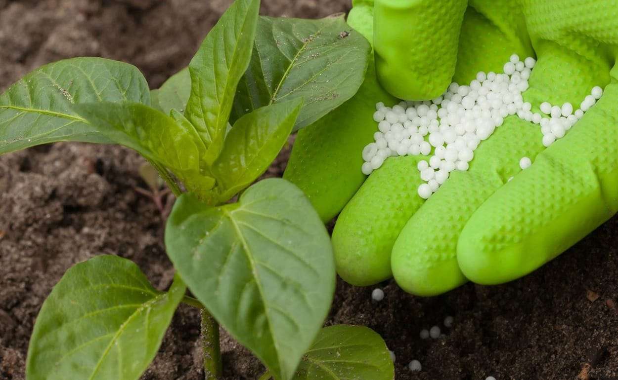 Румынская Azomures объявила о приостановке производства удобрений - agroexpert.md