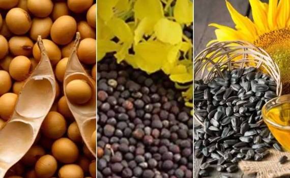 Эксперты USDA фиксируют рост производства масличных, особенно сои - agroexpert.md