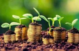 CAPA reguli clare de subvenționare pentru 2026 - agroexpert.md