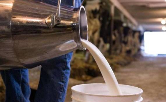 В декабре цены на молоко-сырье в ЕС продолжали снижаться - agroexpert.md