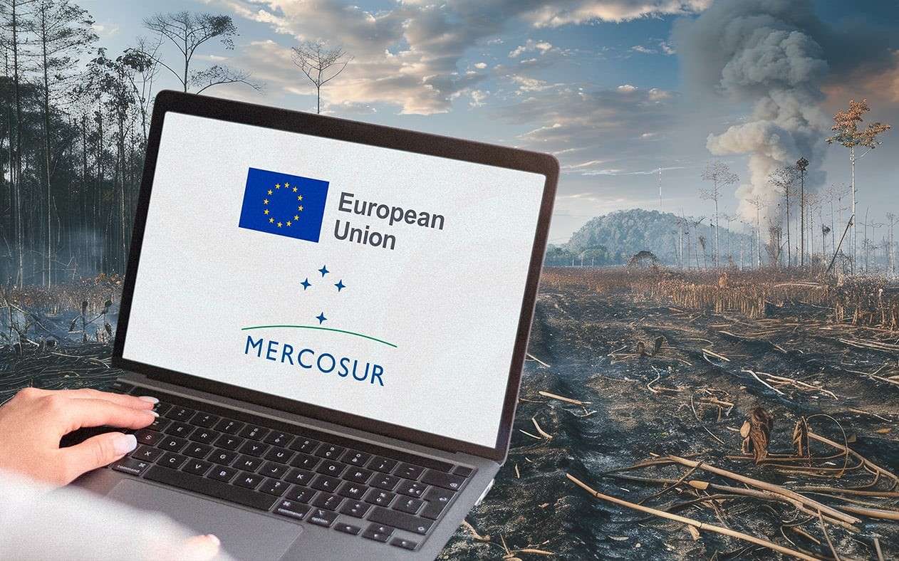 impactul adordului mercosur - AGROEXPERT.MD