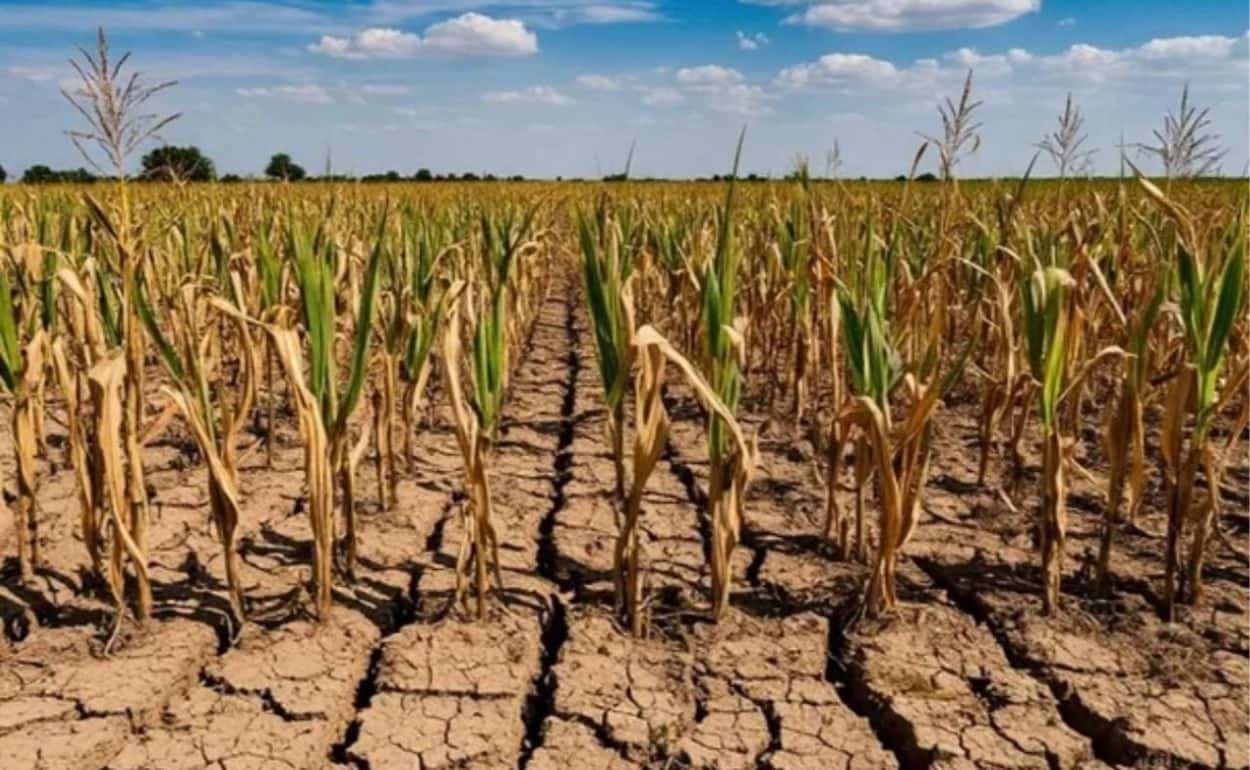 Рост годового количества осадков может не спасти Европу от засухи - agroexpert.md