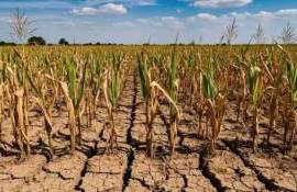 Рост годового количества осадков может не спасти Европу от засухи - agroexpert.md