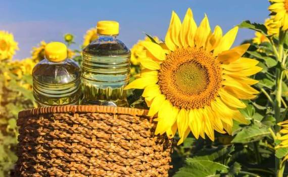 Рынок подсолнечника и продукты переработки в Украине на 18 января - agroexpert.md