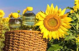 Рынок подсолнечника и продукты переработки в Украине на 18 января - agroexpert.md