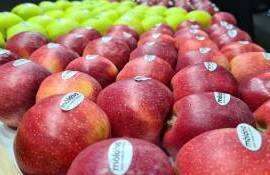 Cotele UE pentru fructe - agroexpert.md