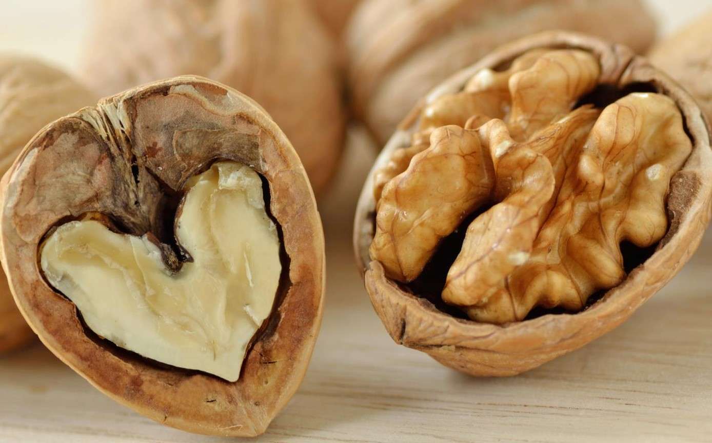 Nuci pentru export - AGROEXPERT.MD