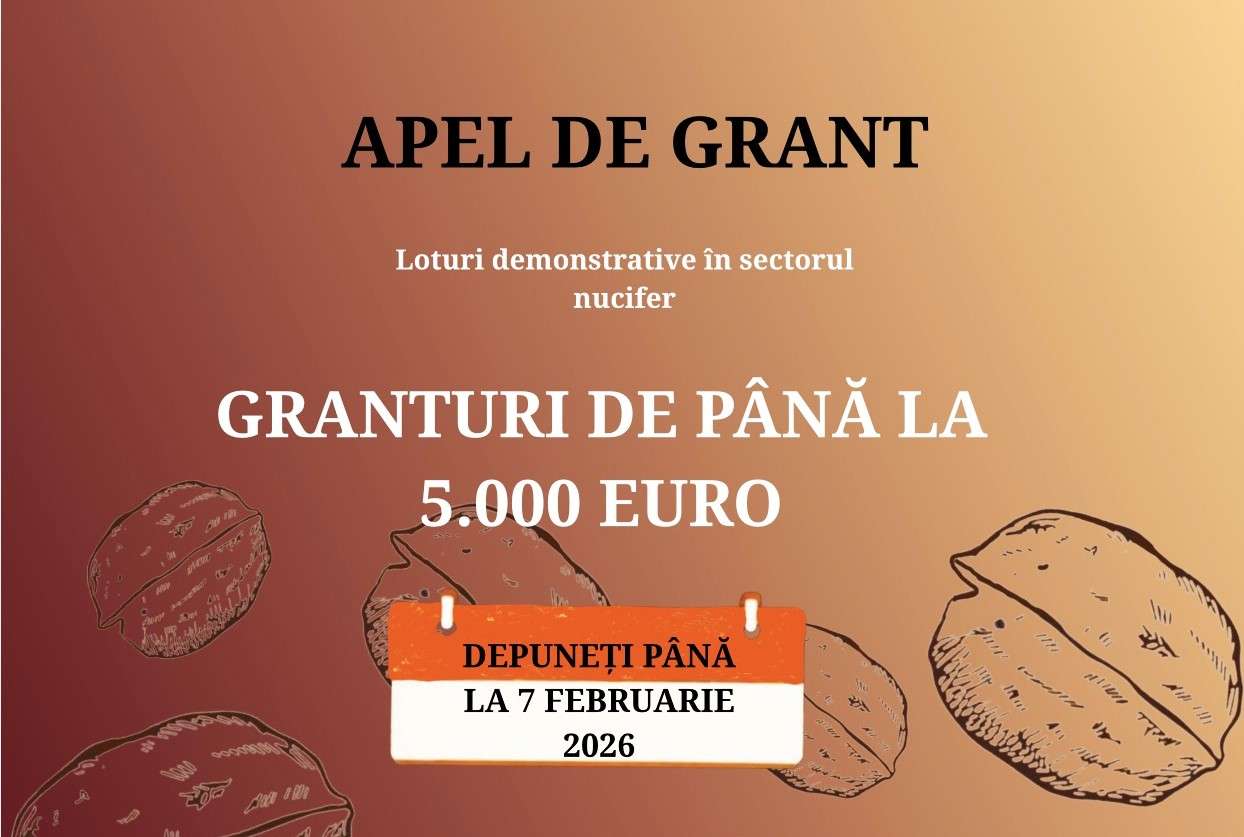 apel nucicultori - AGROEXPERT.MD