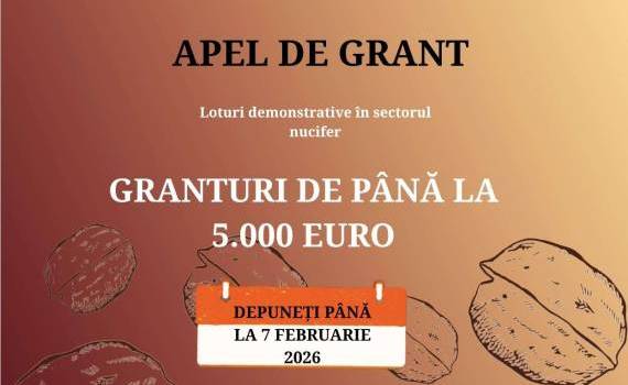 apel nucicultori - AGROEXPERT.MD