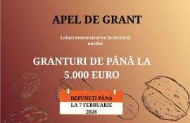 apel nucicultori - AGROEXPERT.MD