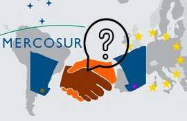Европарламент отложил ратификацию соглашения между ЕС и Меркосур - agroexpert.md