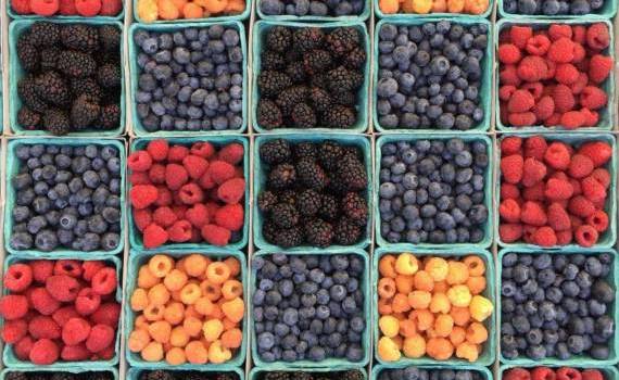 fructe moi iarna - AGROEXPERT.MD