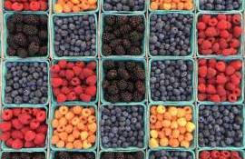 fructe moi iarna - AGROEXPERT.MD