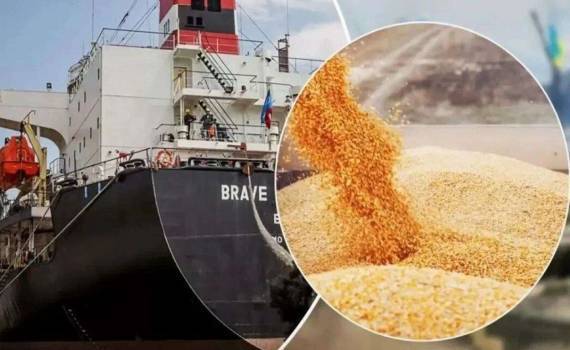 FAS USDA: Турция может удвоить импорт пшеницы в сезоне 2025/26 - agroexpert.md