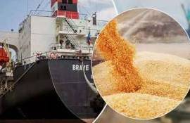 FAS USDA: Турция может удвоить импорт пшеницы в сезоне 2025/26 - agroexpert.md