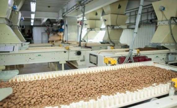 Мировой рынок комбикормов будет расти до 2035 года - agroexpert.md