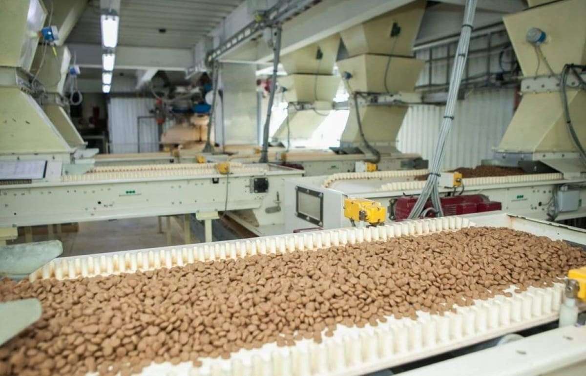 Мировой рынок комбикормов будет расти до 2035 года - agroexpert.md