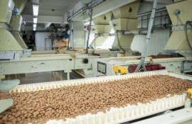 Мировой рынок комбикормов будет расти до 2035 года - agroexpert.md