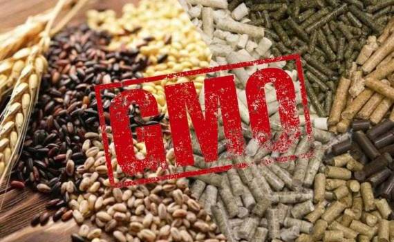 Рост цен изменяет отношение стран Азии к ГМО в кормопроизводстве - agroexpert.md