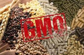 Рост цен изменяет отношение стран Азии к ГМО в кормопроизводстве - agroexpert.md