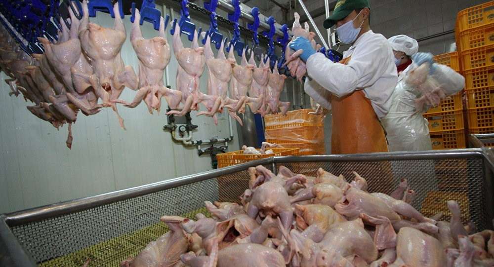 Importul de carne de pasăre din Ucraina ANSA - AGROEXPERT.MD