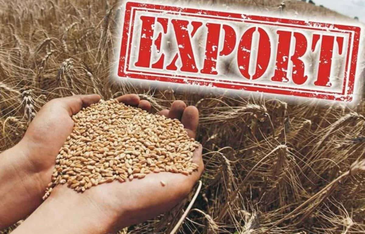 Экспорт пшеницы ЕС под давлением рекордного урожая в Аргентине - agroexpert.md