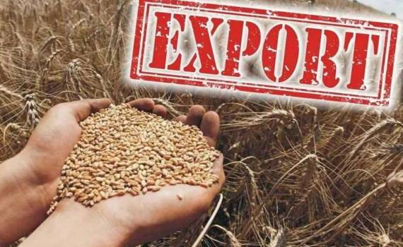 Экспорт пшеницы ЕС под давлением рекордного урожая в Аргентине - agroexpert.md