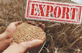 Экспорт пшеницы ЕС под давлением рекордного урожая в Аргентине - agroexpert.md