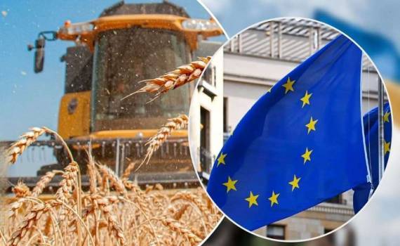 Четыре страны ЕС выступают за усиление контроля агроимпорта из Украины - agroexpert.md