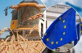 Четыре страны ЕС выступают за усиление контроля агроимпорта из Украины - agroexpert.md