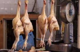 Producția internă de carne de pasăre- AGROEXPERT.MD