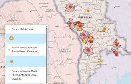 В Молдове зафиксированы новые вспышки опасных заболеваний животных - agroexpert.md